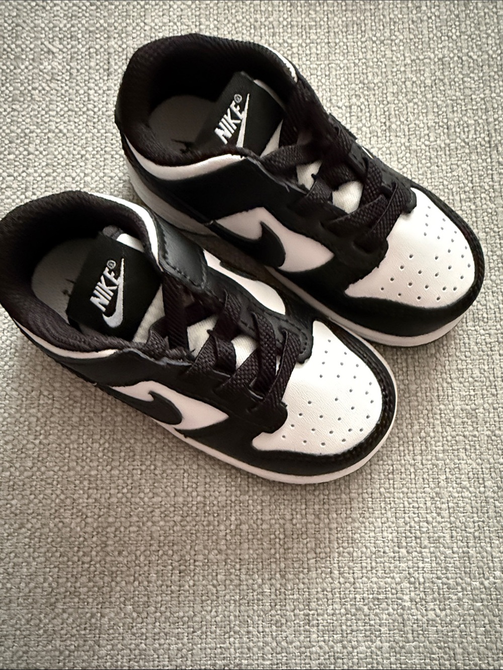 Nike Dunk LowTD Baby Toddler Shoe